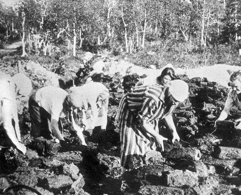 Иллюстрация к книге — ГУЛАГ [i_023.jpg]