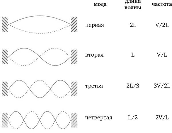 Иллюстрация к книге — Красота физики. Постигая устройство природы [i_030.jpg]