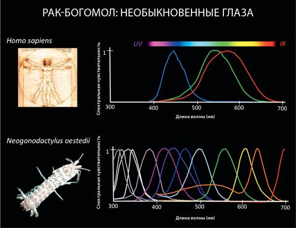 Иллюстрация к книге — Красота физики. Постигая устройство природы [i_080.jpg]