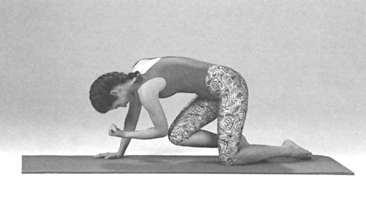 Иллюстрация к книге — Гимнастика для позвоночника [i_037.jpg]