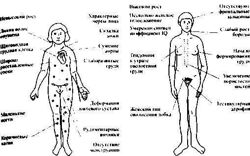 Иллюстрация к книге — Тайны пола. Мужчина и женщина в зеркале эволюции [i_024.jpg]