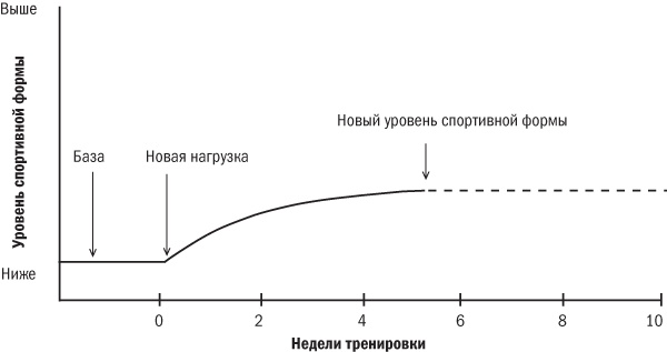 Иллюстрация к книге — От 800 метров до марафона [i_001.jpg]