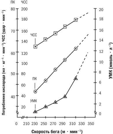 Иллюстрация к книге — От 800 метров до марафона [i_007.jpg]