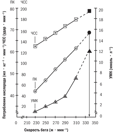 Иллюстрация к книге — От 800 метров до марафона [i_008.jpg]