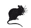 Иллюстрация к книге — История мозга. 1640 фактов [i_154.jpg]