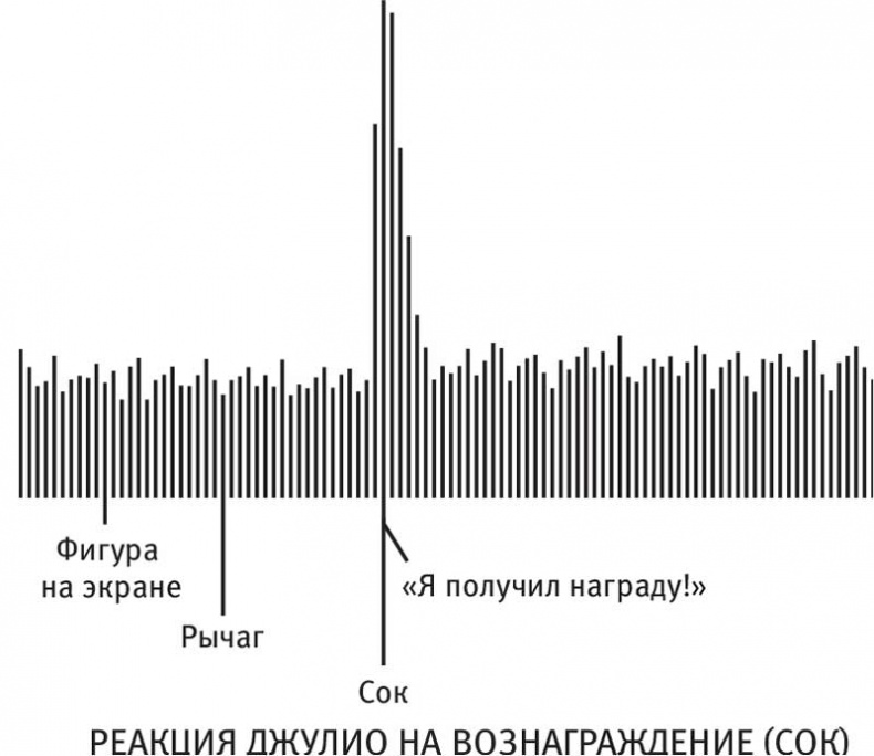 Иллюстрация к книге — Власть привычки. Почему мы живем и работаем именно так, а не иначе [i_008.jpg]