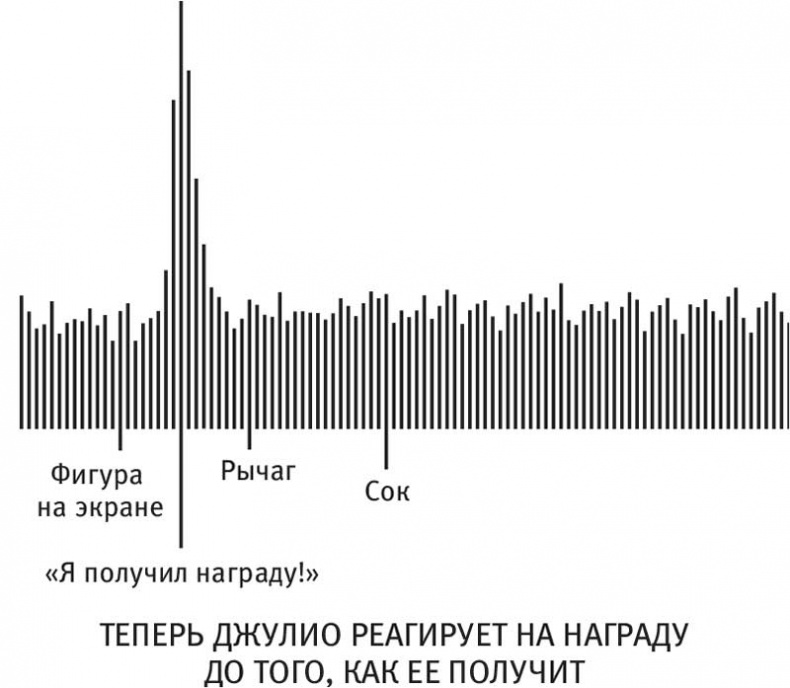 Иллюстрация к книге — Власть привычки. Почему мы живем и работаем именно так, а не иначе [i_010.jpg]