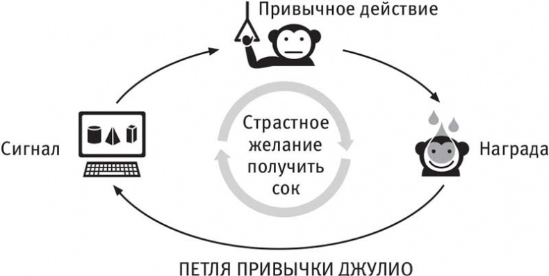 Иллюстрация к книге — Власть привычки. Почему мы живем и работаем именно так, а не иначе [i_014.jpg]