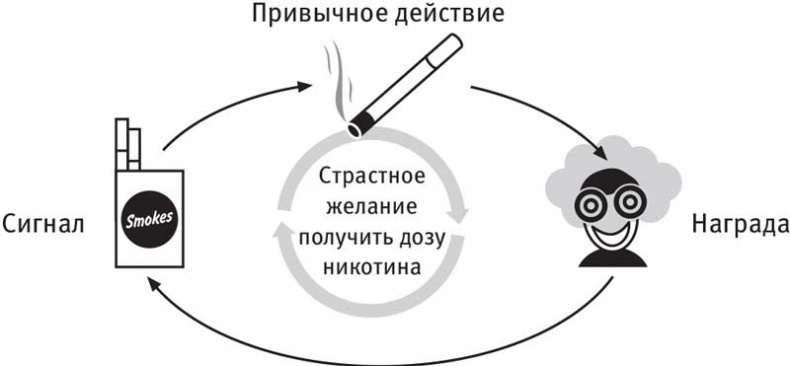Иллюстрация к книге — Власть привычки. Почему мы живем и работаем именно так, а не иначе [i_015.jpg]