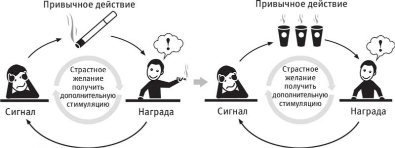 Иллюстрация к книге — Власть привычки. Почему мы живем и работаем именно так, а не иначе [i_025.jpg]