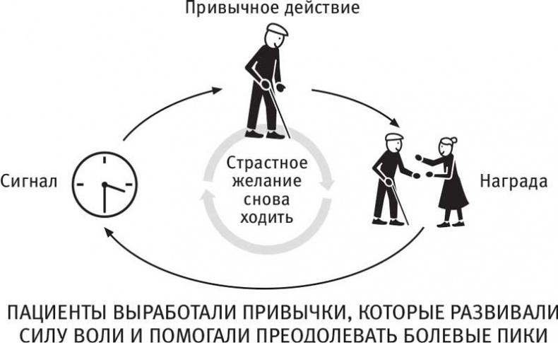 Иллюстрация к книге — Власть привычки. Почему мы живем и работаем именно так, а не иначе [i_029.jpg]