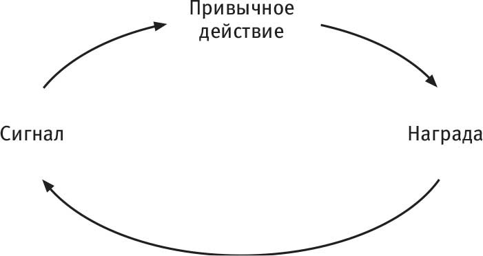 Иллюстрация к книге — Власть привычки. Почему мы живем и работаем именно так, а не иначе [i_039.jpg]