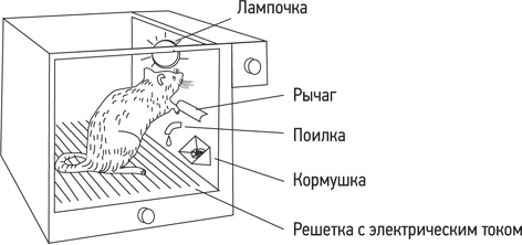 Иллюстрация к книге — Психология. Люди, концепции, эксперименты [i_002.jpg]