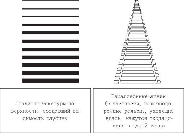 Иллюстрация к книге — Психология. Люди, концепции, эксперименты [i_009.jpg]