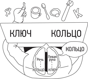 Иллюстрация к книге — Психология. Люди, концепции, эксперименты [i_023.jpg]