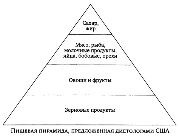 Иллюстрация к книге — Здоровая пища - поиски идеала. Есть ли золотая середина в запутанном мире диет? [i_001.jpg]
