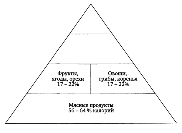 Иллюстрация к книге — Здоровая пища - поиски идеала. Есть ли золотая середина в запутанном мире диет? [i_006.jpg]