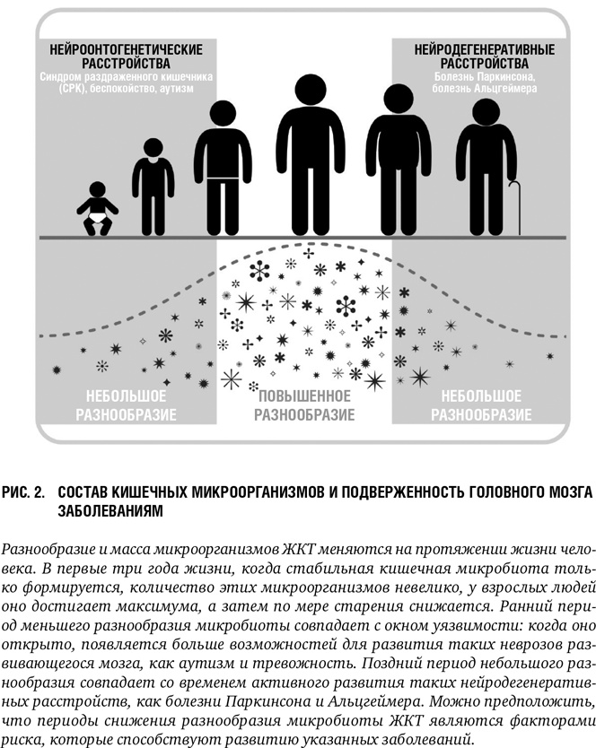 Иллюстрация к книге — Второй мозг: Как микробы в кишечнике управляют нашим настроением, решениями и здоровьем [i_003.jpg]