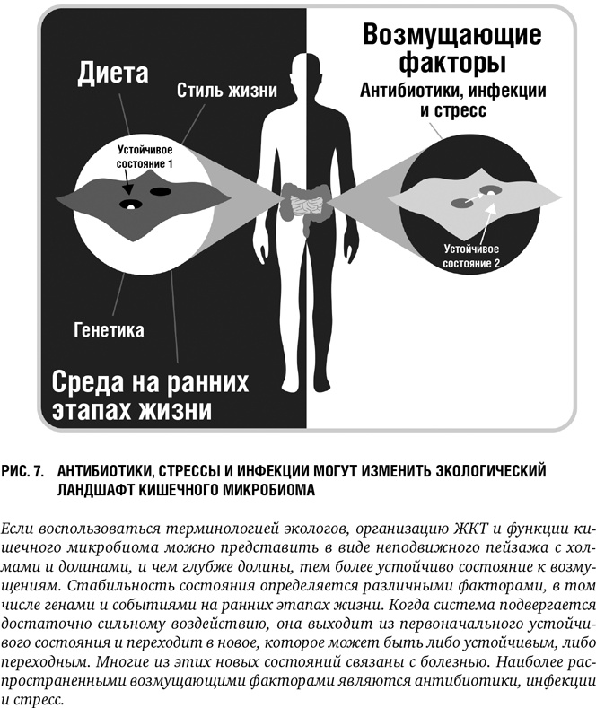 Иллюстрация к книге — Второй мозг: Как микробы в кишечнике управляют нашим настроением, решениями и здоровьем [i_008.jpg]