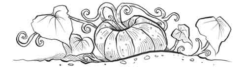 Иллюстрация к книге — Таинственное происшествие [block_00114483.jpg]