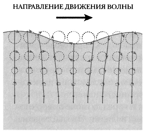 Иллюстрация к книге — Занимательное волноведение. Волнения и колебания вокруг нас [i_013.jpg]