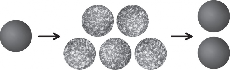 Иллюстрация к книге — Большой роман о математике. История мира через призму математики [_98.jpg]