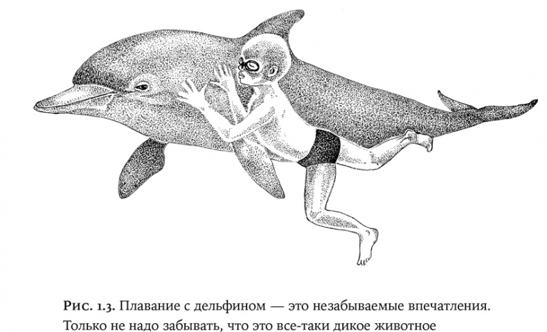 Иллюстрация к книге — Люди и звери. Мифы и реальность [i_006.jpg]