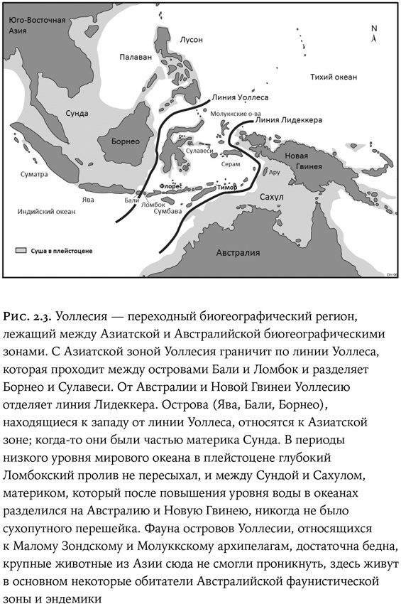 Иллюстрация к книге — Люди и звери. Мифы и реальность [i_010.jpg]
