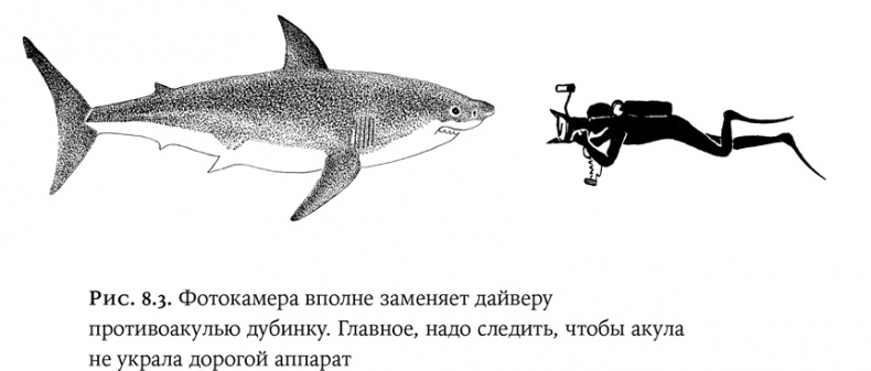 Иллюстрация к книге — Люди и звери. Мифы и реальность [i_029.jpg]
