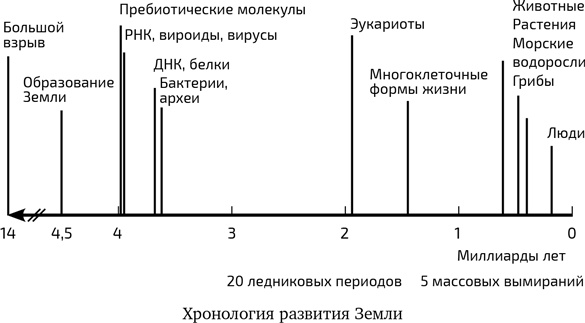 Иллюстрация к книге — Вирусы. Скорее друзья, чем враги [i_003.jpg]