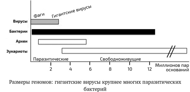 Иллюстрация к книге — Вирусы. Скорее друзья, чем враги [i_014.jpg]