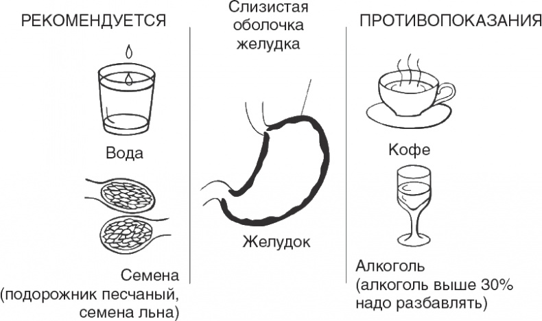 Иллюстрация к книге — Твой второй мозг - кишечник. Книга-компас по невидимым связям нашего тела [i_006.jpg]