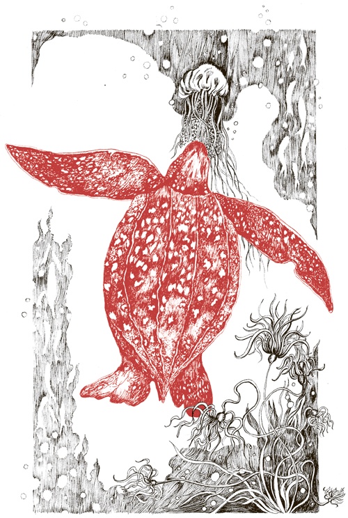 Иллюстрация к книге — Книга о самых невообразимых животных. Бестиарий XXI века [i_055.jpg]