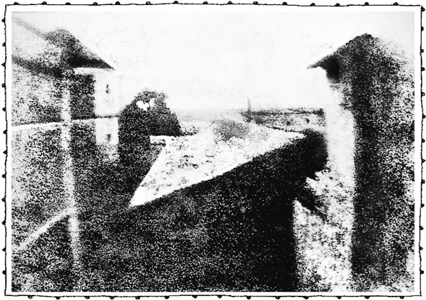 Иллюстрация к книге — Книга о самых невообразимых животных. Бестиарий XXI века [i_066.jpg]