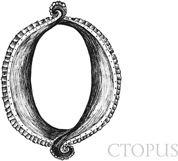 Иллюстрация к книге — Книга о самых невообразимых животных. Бестиарий XXI века [i_070.jpg]