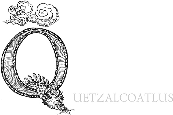 Иллюстрация к книге — Книга о самых невообразимых животных. Бестиарий XXI века [i_078.jpg]