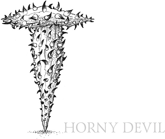 Иллюстрация к книге — Книга о самых невообразимых животных. Бестиарий XXI века [i_091.jpg]