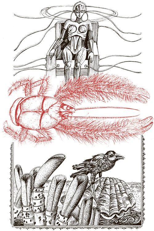 Иллюстрация к книге — Книга о самых невообразимых животных. Бестиарий XXI века [i_109.jpg]