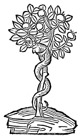 Иллюстрация к книге — Осень Средневековья [b00001750.jpg]