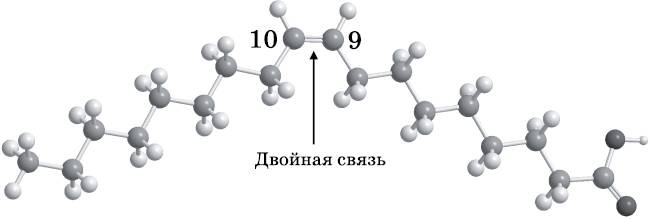Иллюстрация к книге — Абсолютный минимум. Как квантовая теория объясняет наш мир [i_104.jpg]