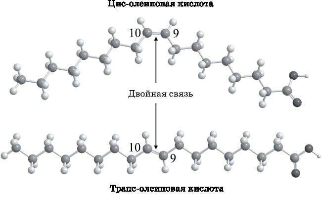 Иллюстрация к книге — Абсолютный минимум. Как квантовая теория объясняет наш мир [i_106.jpg]