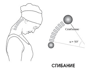 Иллюстрация к книге — Диагностика и лечение позвоночника. Уникальная система доктора А. М. Уриа [i_020.jpg]