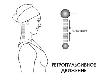 Иллюстрация к книге — Диагностика и лечение позвоночника. Уникальная система доктора А. М. Уриа [i_022.jpg]