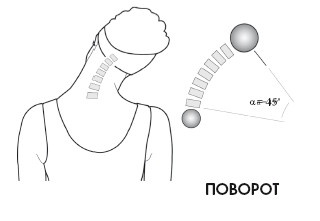 Иллюстрация к книге — Диагностика и лечение позвоночника. Уникальная система доктора А. М. Уриа [i_023.jpg]