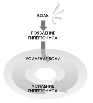 Иллюстрация к книге — Диагностика и лечение позвоночника. Уникальная система доктора А. М. Уриа [i_253.jpg]