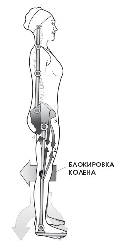 Иллюстрация к книге — Диагностика и лечение позвоночника. Уникальная система доктора А. М. Уриа [i_300.jpg]