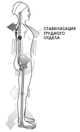 Иллюстрация к книге — Диагностика и лечение позвоночника. Уникальная система доктора А. М. Уриа [i_305.jpg]