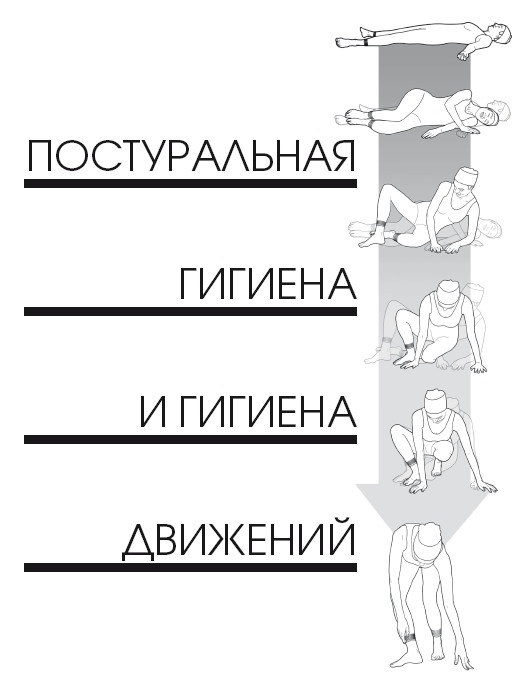 Иллюстрация к книге — Диагностика и лечение позвоночника. Уникальная система доктора А. М. Уриа [i_312.jpg]
