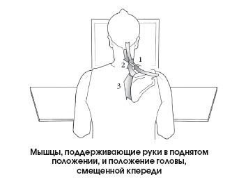 Иллюстрация к книге — Диагностика и лечение позвоночника. Уникальная система доктора А. М. Уриа [i_324.jpg]
