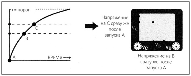Иллюстрация к книге — Ритм вселенной. Как из хаоса возникает порядок [i_003.jpg]